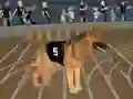 Juego Crazy Dog Racing Fever en línea