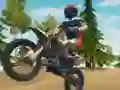 Juego Dirt Bike Enduro Racing en línea