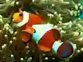 Juego Underwater Hidden Numbers en línea