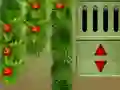 Juego New Year 2021 Escape en línea