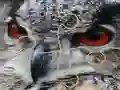 Juego Wild owl Jigsaw en línea