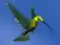 Juego Hummingbird House Escape en línea