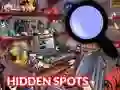 Juego Hidden Spots In The Room en línea