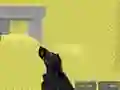 Juego Pixel Combat Multiplayer en línea