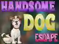 Juego Handsome Dog Escape en línea
