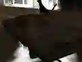 Juego Drift Z en línea