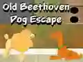 Juego Old Beethoven Dog Escape en línea