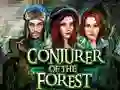 Juego Conjurer Of The Forest en línea
