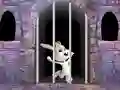 Juego Victory Rabbit Escape en línea