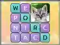 Juego Word Search Pictures en línea