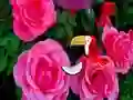 Juego Precious Rose Escape en línea