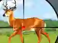 Juego Wild Hunt Hunting Games 3D en línea