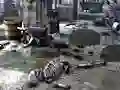 Juego Friends Rescue From Skeleton en línea