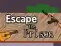 Juego Escape the Prison en línea