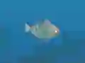 Juego Fish Companions en línea