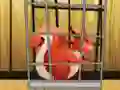 Juego Rescue The Red Squirrel From Cage en línea
