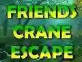 Juego Friends Crane Escape en línea