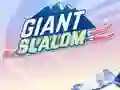 Juego Giant Slalom en línea