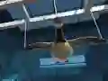 Juego Goose Museum en línea