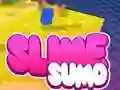 Juego Sumo Slime 3D en línea