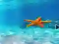 Juego Escape From Underwater Starfish en línea