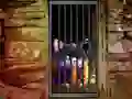 Juego Hidden Cat Escape en línea