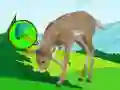 Juego The Deer Meadow Escape en línea