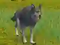 Juego The Wolf: Wild Animal Simulator en línea