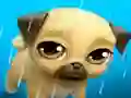 Juego My Virtual Pet Louie the Pug en línea