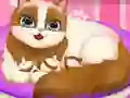 Juego Cute Kitty Pregnant en línea