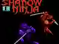 Juego Shadow of the Ninja en línea