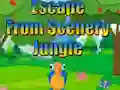 Juego Escape from Scenery Jungle en línea
