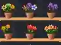 Juego Good Flower Master en línea