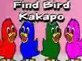 Juego Find Bird Kakapo en línea