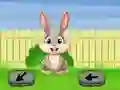 Juego Springtime Escape en línea