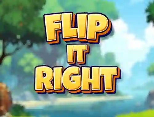 Juego Flip It Right en línea