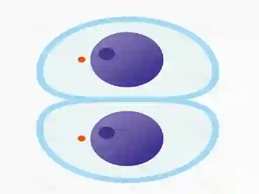 Juego Cutting master en línea