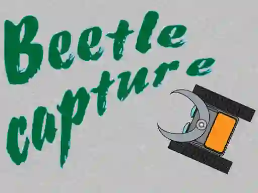 Juego Beetle Capture en línea