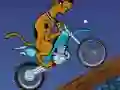 Juego Scooby Doo Trail en línea