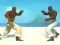 Juego Capoeira fighter en línea