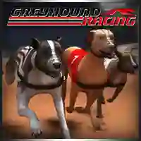 Juego Greyhound Racing en línea