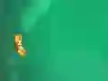 Juego Anti Body en línea