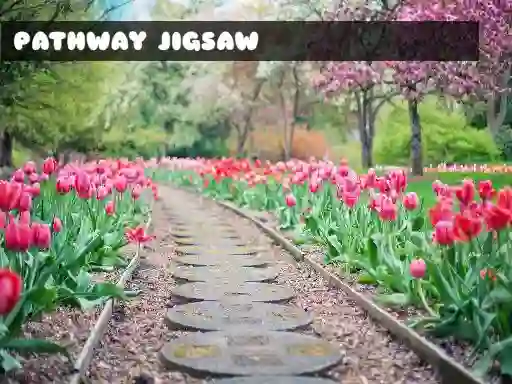 Juego Pathway Jigsaw en línea
