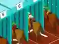 Juego Derby racing en línea
