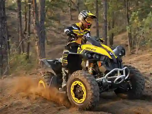 Juego ATV Offroad Puzzle en línea