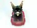 Juego Pet Sledding en línea