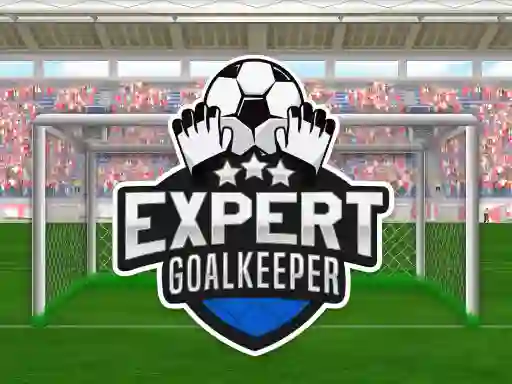 Juego Expert Goalkeeper en línea