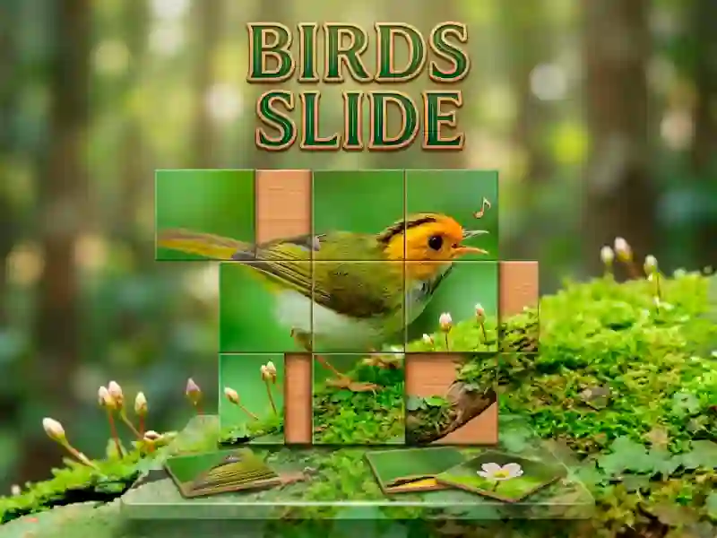Juego Birds Slide en línea