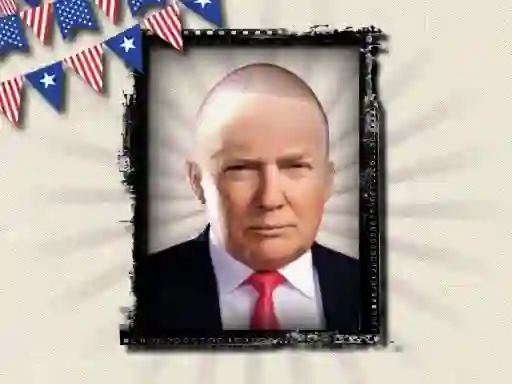 Juego The President of the USA en línea