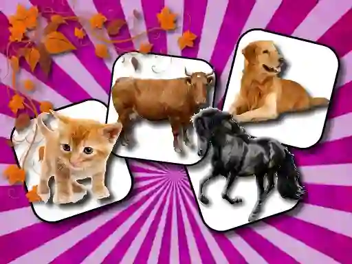Juego Domestic Animal Memory Challenge en línea